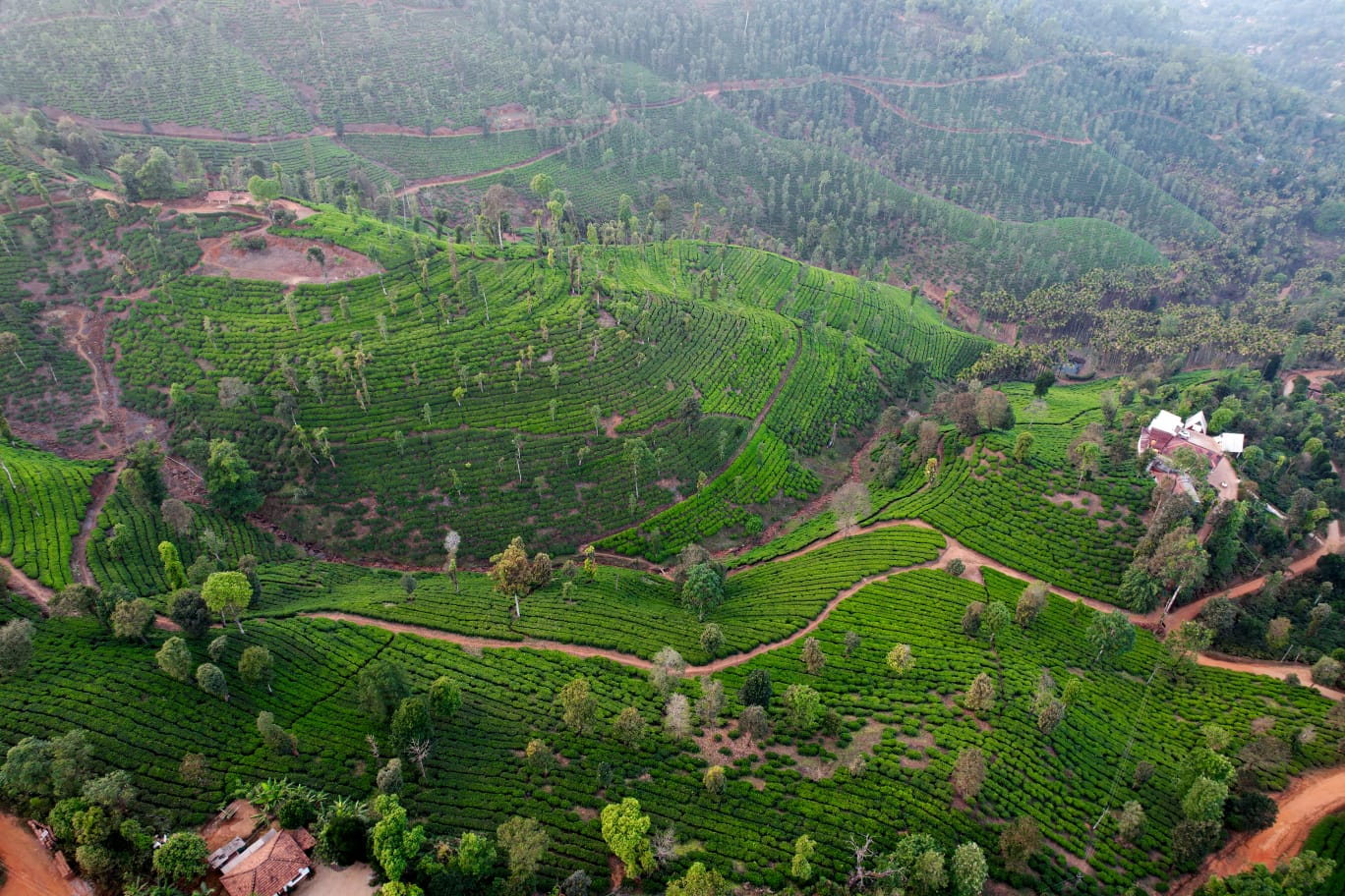 675282130e87d_WhatsApp Image 2024-12-06 at 10.09.27_2745b128.jpg